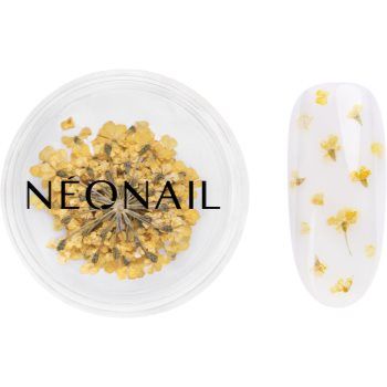 NEONAIL Dried Flowers flori uscate pentru unghii