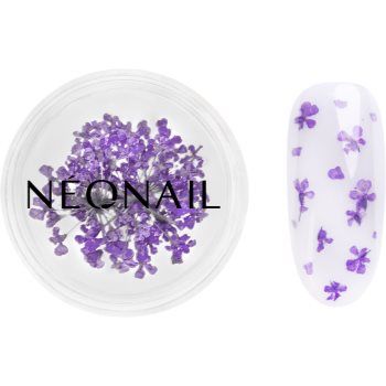 NEONAIL Dried Flowers flori uscate pentru unghii