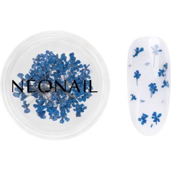 NEONAIL Dried Flowers flori uscate pentru unghii