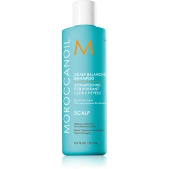 Moroccanoil Scalp Balancing Shampoo sampon cu efect calmant pentru par gras