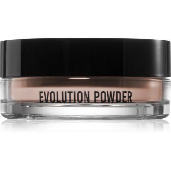 Danessa Myricks Beauty Evolution Powder pudra translucida