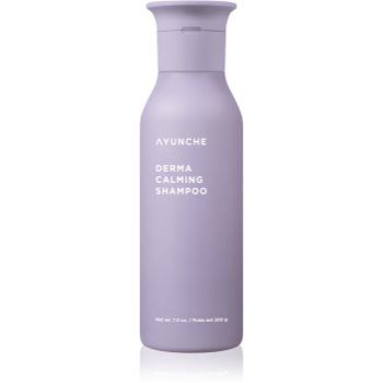 AYUNCHE Derma Calming Shampoo șampon calmant pentru păr uscat și scalp sensibil