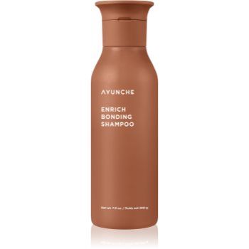 AYUNCHE Enrich Bonding Shampoo sampon hranitor pentru par deteriorat