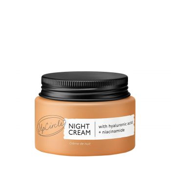 Night cream with hyaluronic acid + niacinamide 55 ml