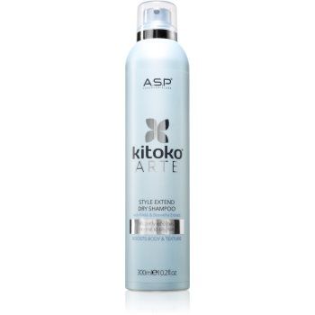 ASP kitoko Arte Extend Dry Shampoo șampon uscat