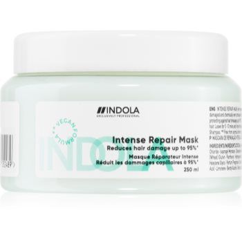 Indola Repair Intense Repair Mask mască fortifiantă pentru par foarte deteriorat