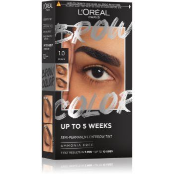 L’Oréal Paris Brow Color culoare pentru sprancene