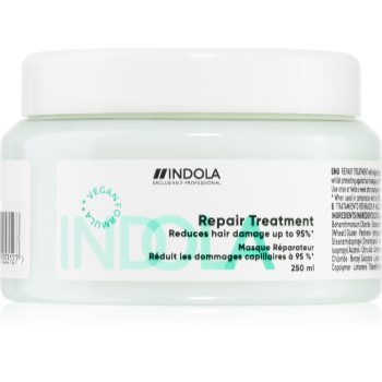 Indola Repair Treatment ingrijire nutritiva pentru par deteriorat