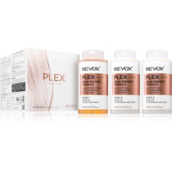 Revox B77 Plex Hair Rebuilding System Professional Set set pentru par vopsit si deteriorat