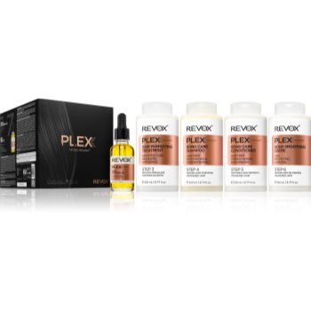 Revox B77 Plex Hair Rebuilding System Set for Salon & Home set pentru par deteriorat si vopsit