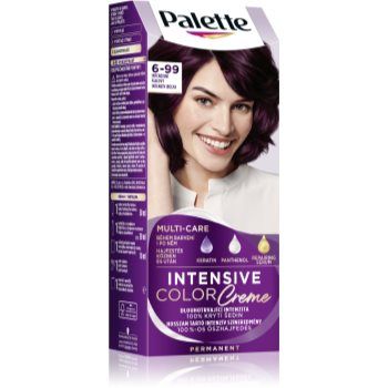 Schwarzkopf Palette Intensive Color Creme Culoare permanenta pentru par