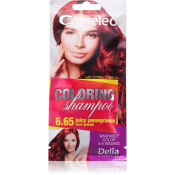 Delia Cosmetics Cameleo Coloring Shampoo șampon nuanțator pentru păr