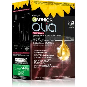 Garnier Olia Big Kit Culoare permanenta pentru par