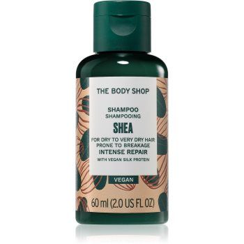 The Body Shop Shea Shampoo sampon hranitor